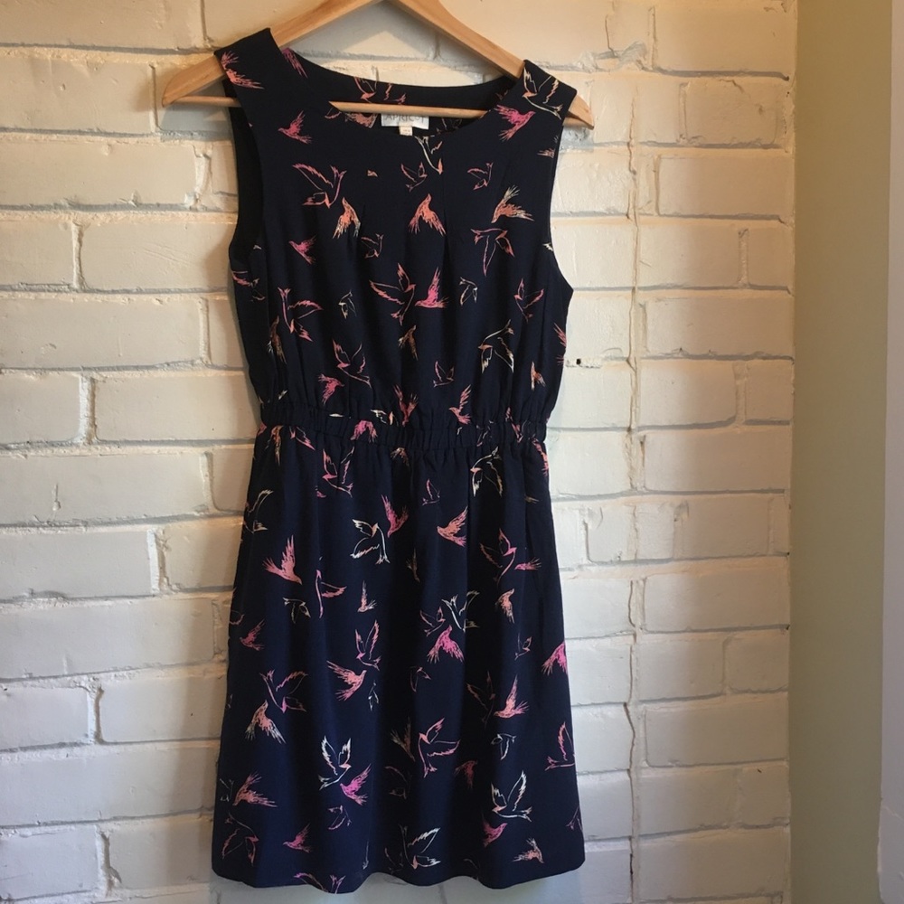 APRICOT Navy bird print dress | Size XS